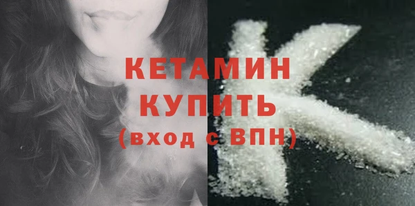 шишки Белокуриха