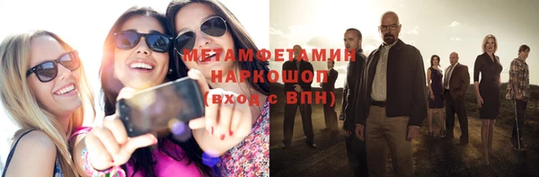 шишки Белокуриха