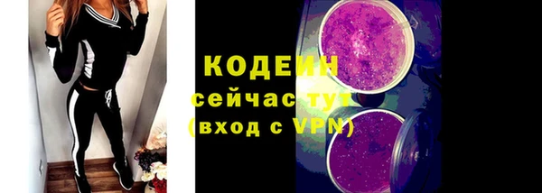 шишки Белокуриха
