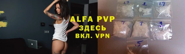 шишки Белокуриха
