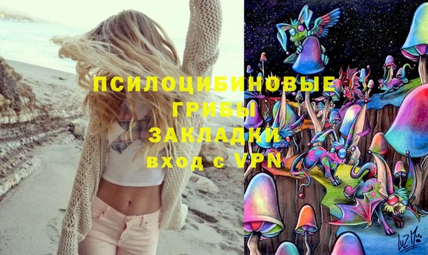 шишки Белокуриха