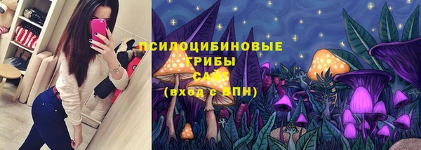 шишки Белокуриха