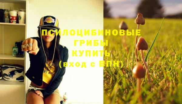 шишки Белокуриха